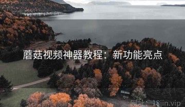 蘑菇视频神器教程：新功能亮点