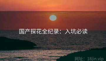 国产探花全纪录：入坑必读