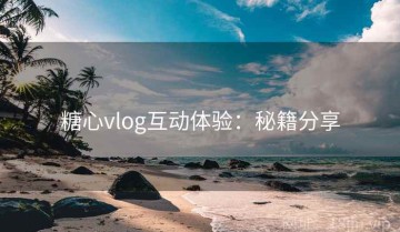 糖心vlog互动体验：秘籍分享