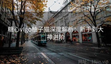 糖心vIgo柚子猫深度解析：新手到大神进阶