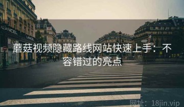 蘑菇视频隐藏路线网站快速上手：不容错过的亮点
