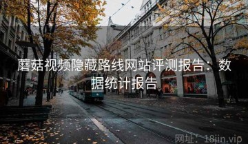 蘑菇视频隐藏路线网站评测报告：数据统计报告