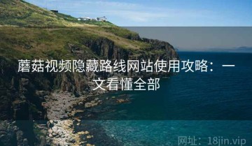 蘑菇视频隐藏路线网站使用攻略：一文看懂全部