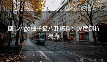 糖心vIgo柚子猫八卦爆料：深度剖析亮点