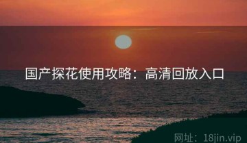 国产探花使用攻略：高清回放入口