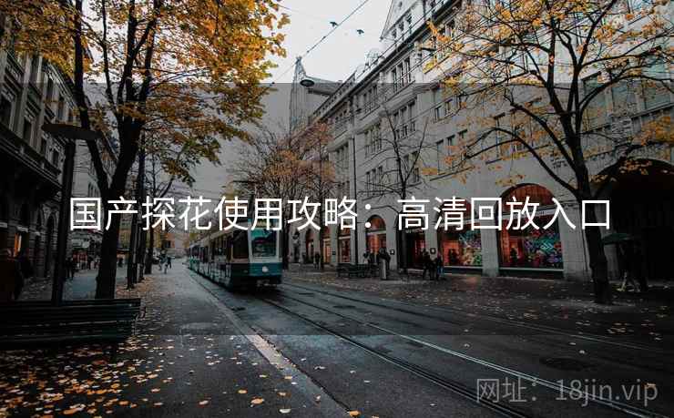 国产探花使用攻略：高清回放入口
