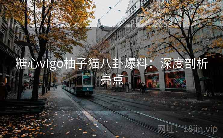 糖心vIgo柚子猫八卦爆料：深度剖析亮点