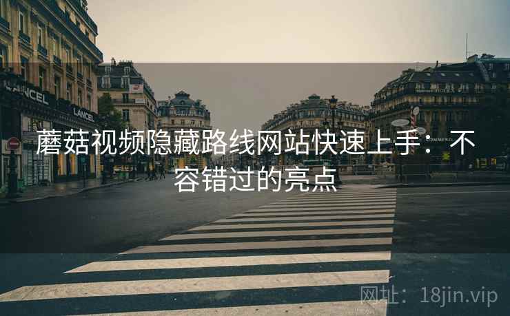 蘑菇视频隐藏路线网站快速上手：不容错过的亮点